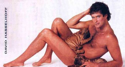 David Hasselhoff nu avec un chien