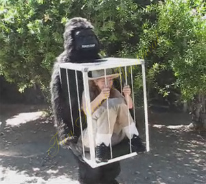 deguisement gorille cage