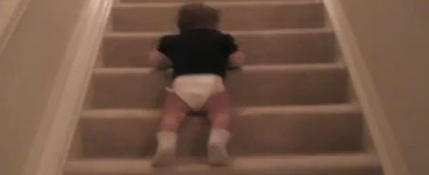 Bébé descend les escaliers sur le ventre
