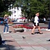 Deux russes combattent en se jetant des pigeons
