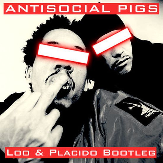 antisocial pigs