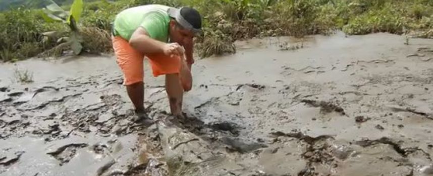 Le dompteur de crocodile du Costa Rica