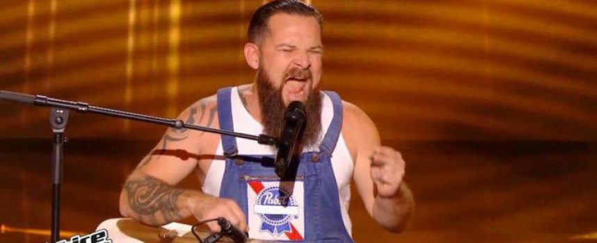 Will Barber chante Another Brick In the Wall de Pink Floyd, The Voice 2017