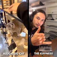 Alugalug, le chat qui chante par The Kiffness